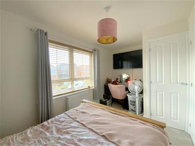Picture 13